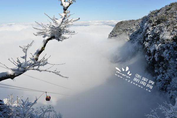 天門山索道冰雪天氣照常運行 董兵攝_副本.jpg