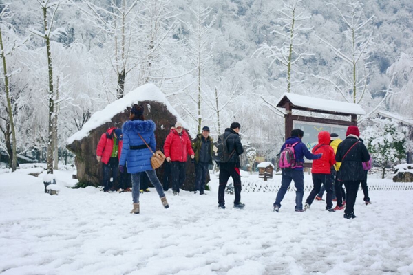 游人踏雪歡樂(lè)多.jpg